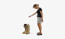 More on Conditioning and Behavior