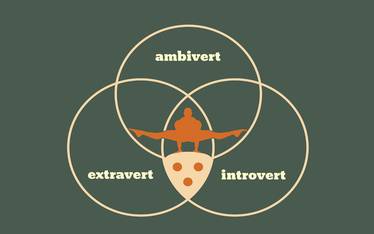 Are You An Extravert? Test