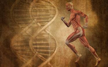 Evolutionary Approach in Psychology