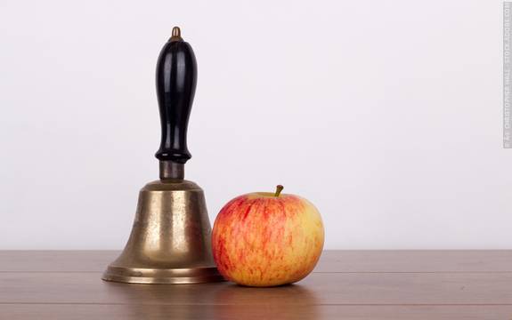 What Factors Affect Classical Conditioning?