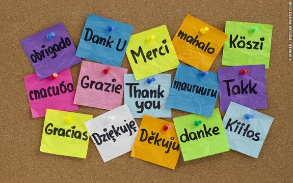language acquisition psychologist world language acquisition