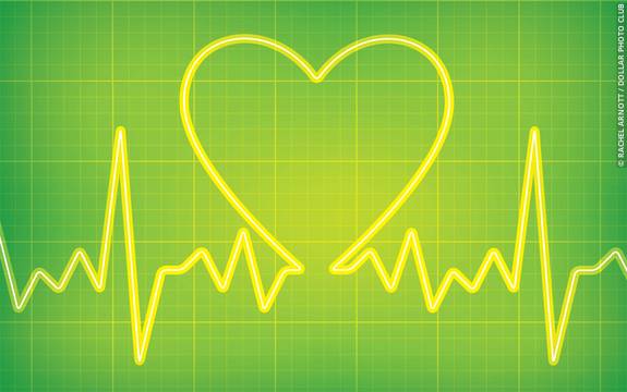 Riding Waves How Biological Rhythms Rule Your Life - 