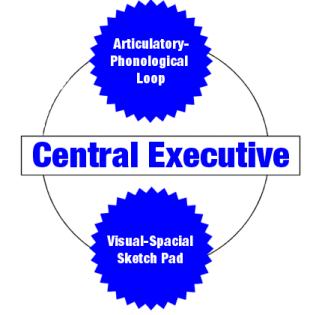 Working Memory Model